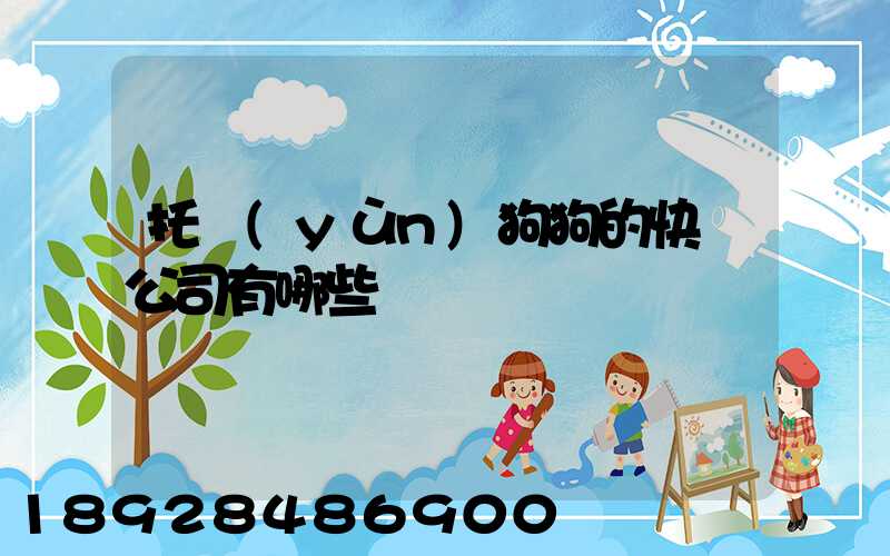 托運(yùn)狗狗的快遞公司有哪些