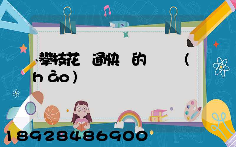 攀枝花圓通快遞的電話號(hào)碼