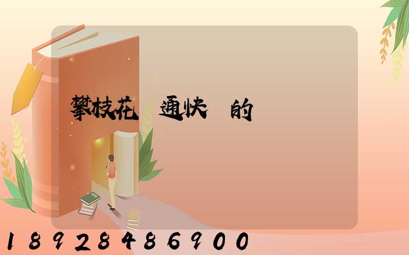 攀枝花圓通快遞的電話號碼