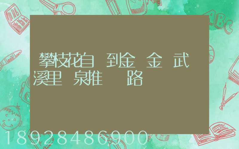 攀枝花自駕到金華金華武義溪里溫泉推薦線路