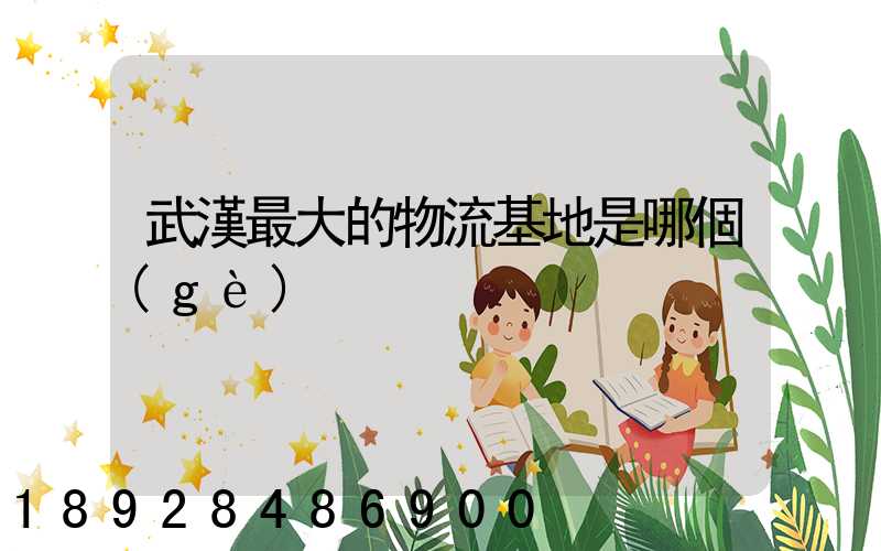 武漢最大的物流基地是哪個(gè)