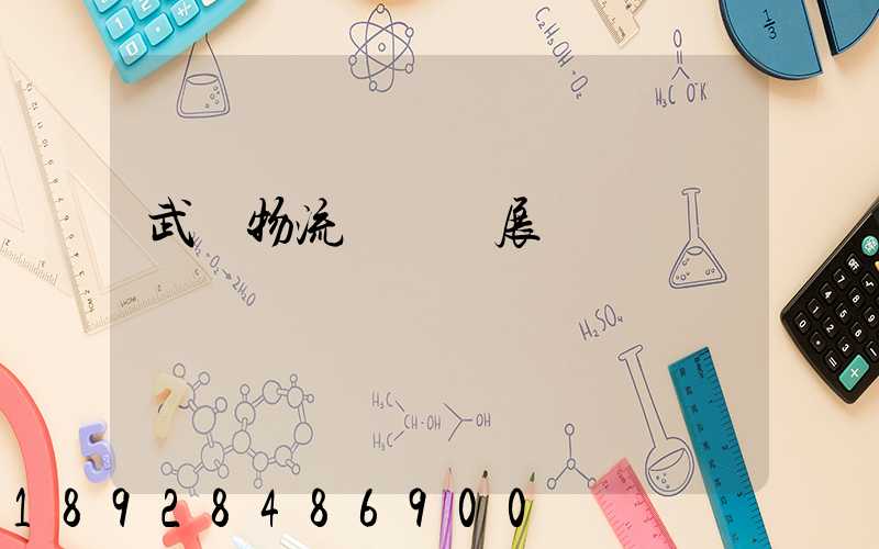 武漢物流運輸發展