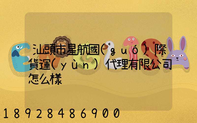 汕頭市星航國(guó)際貨運(yùn)代理有限公司怎么樣