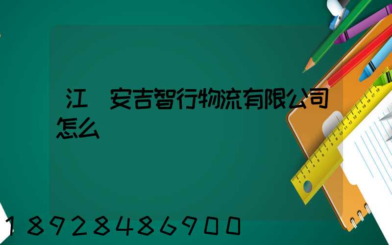 江蘇安吉智行物流有限公司怎么樣