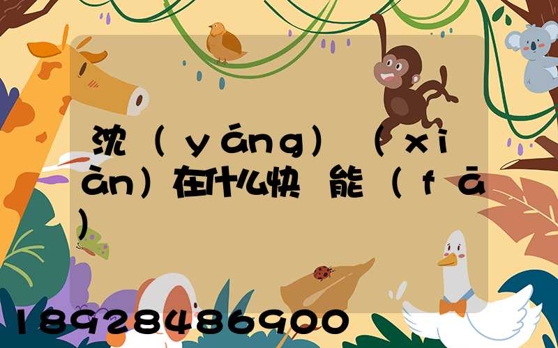 沈陽(yáng)現(xiàn)在什么快遞能發(fā)