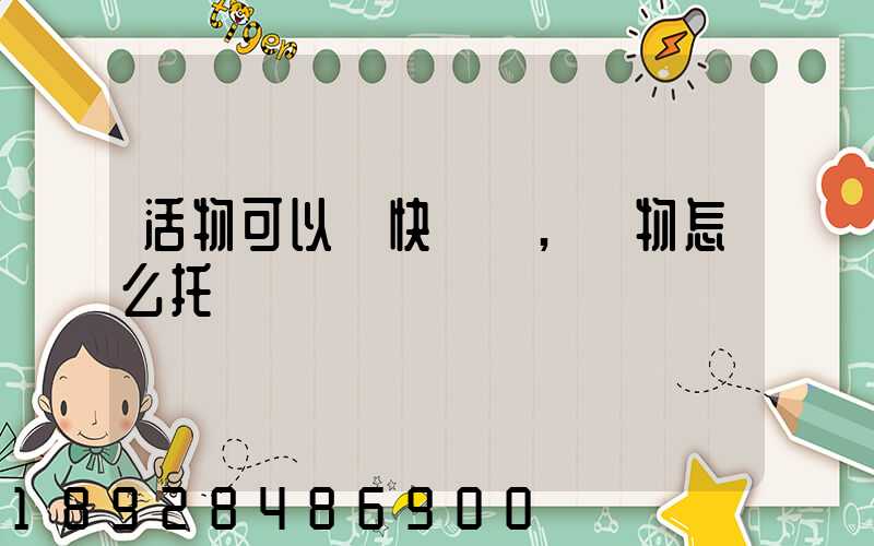 活物可以發快遞嗎,寵物怎么托運