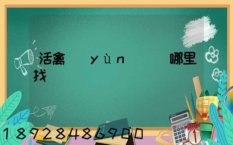 活禽運(yùn)輸車哪里找