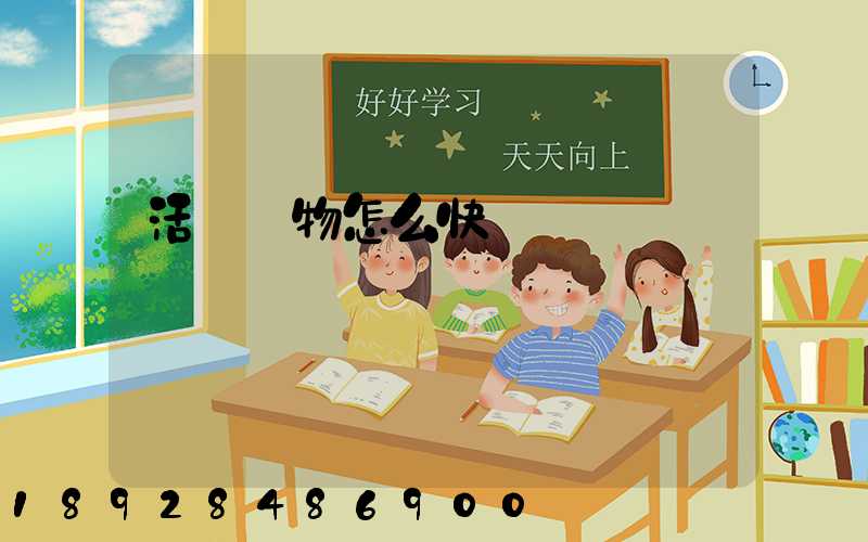 活體寵物怎么快遞