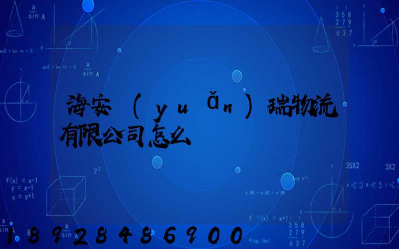 海安遠(yuǎn)瑞物流有限公司怎么樣