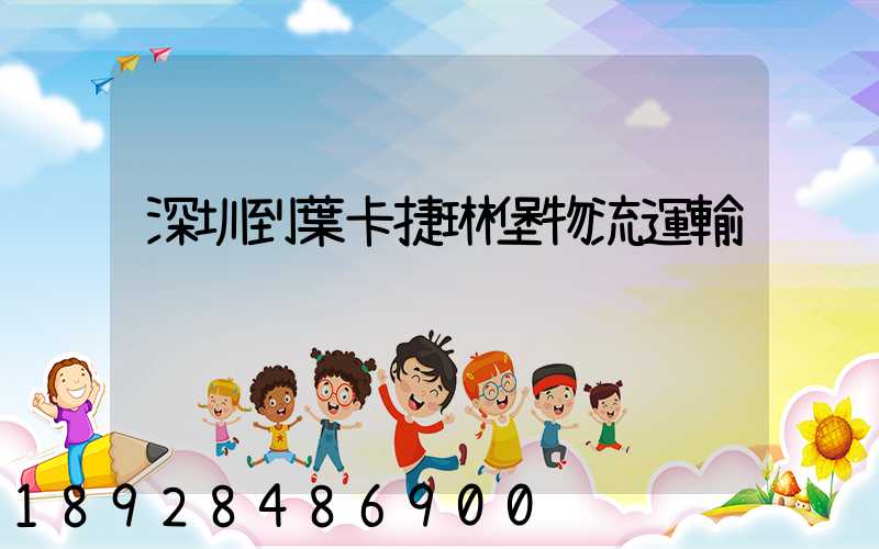 深圳到葉卡捷琳堡物流運輸