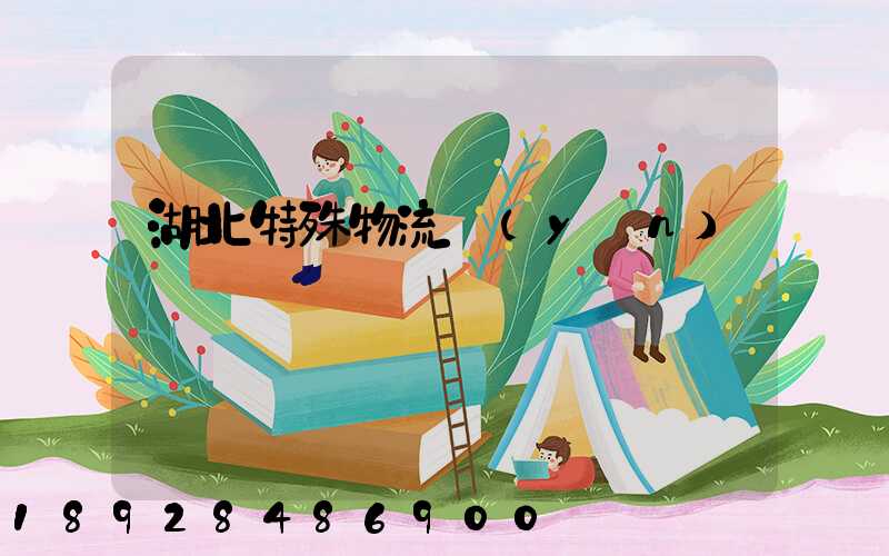 湖北特殊物流運(yùn)輸