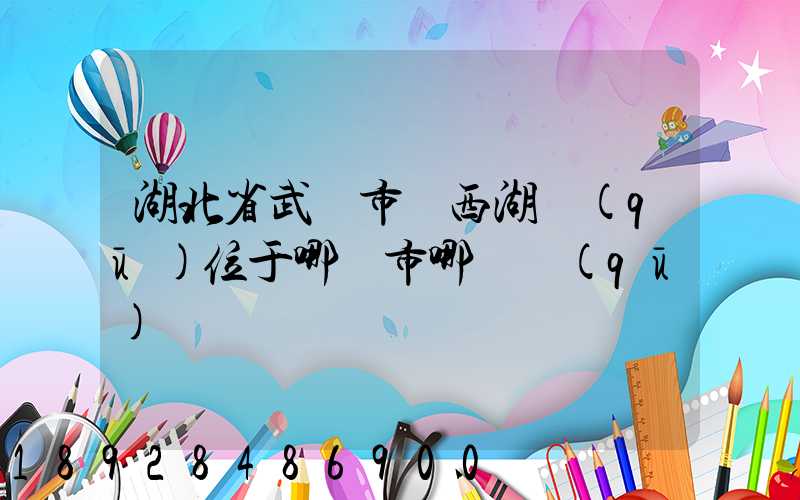 湖北省武漢市東西湖區(qū)位于哪個市哪個區(qū)
