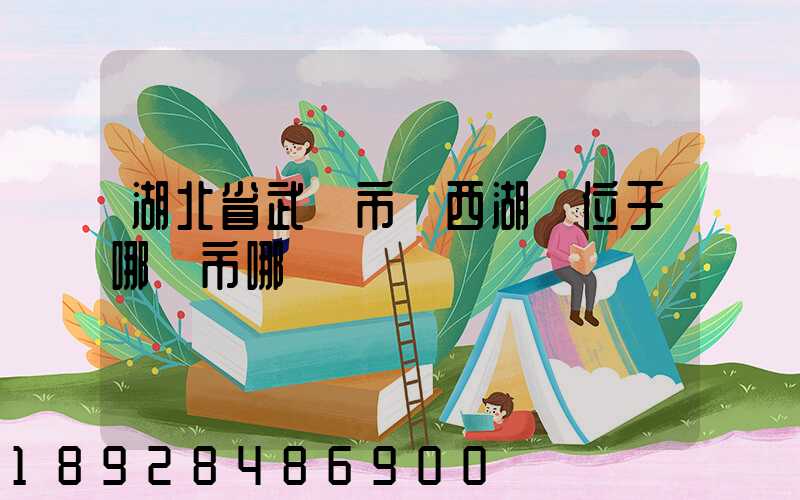 湖北省武漢市東西湖區位于哪個市哪個區