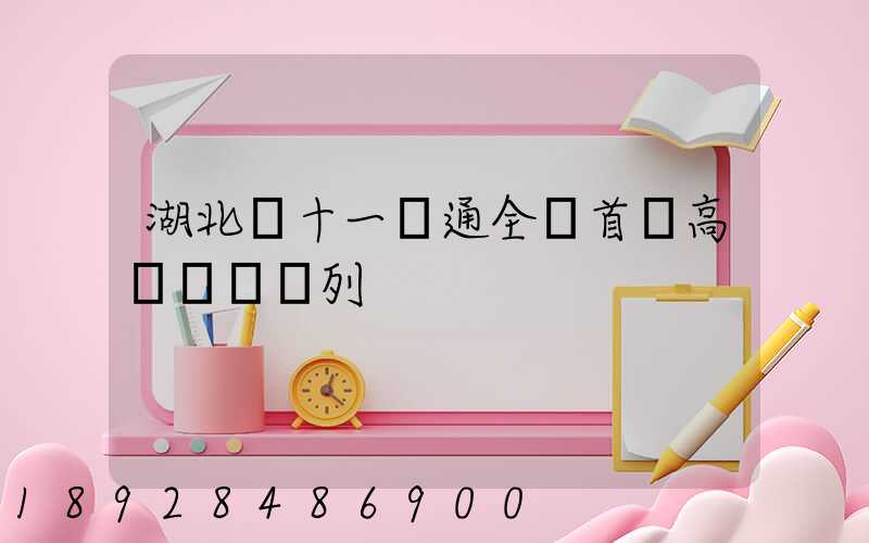 湖北雙十一開通全國首條高鐵貨運專列