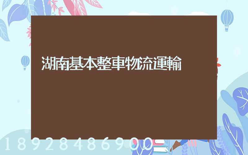 湖南基本整車物流運輸