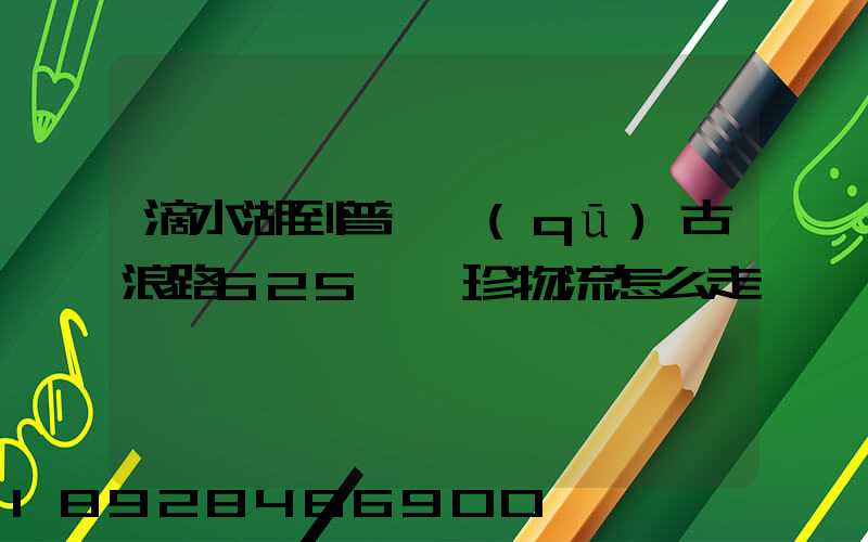 滴水湖到普陀區(qū)古浪路625號皓珍物流怎么走