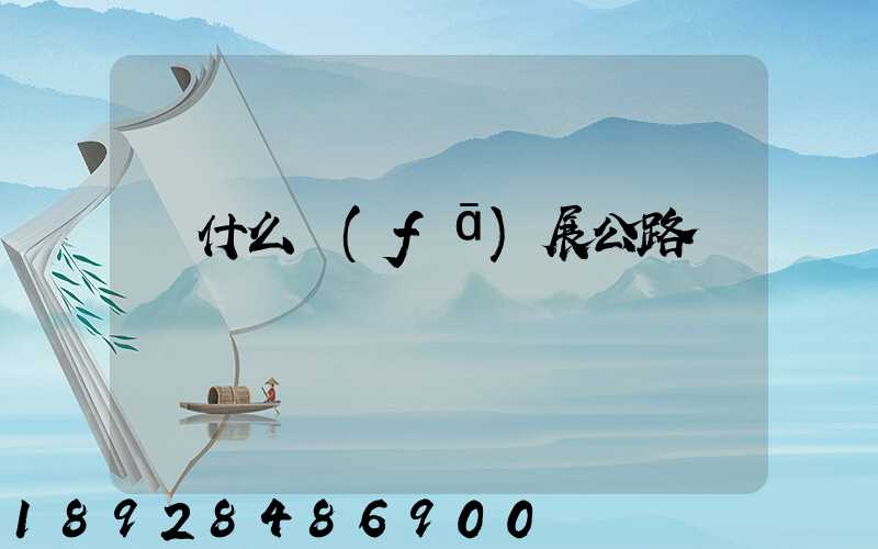 為什么發(fā)展公路運輸