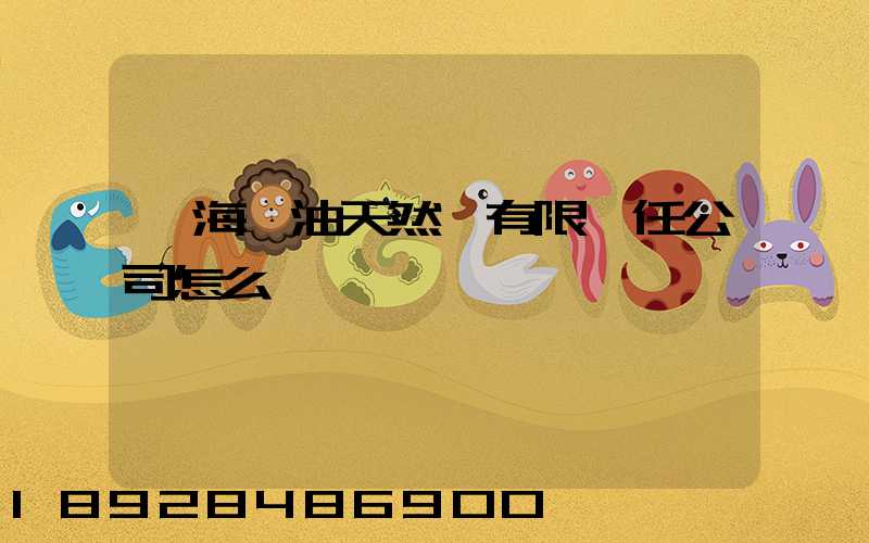 烏海華油天然氣有限責任公司怎么樣