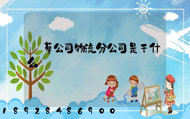 煙草公司物流分公司是干什么