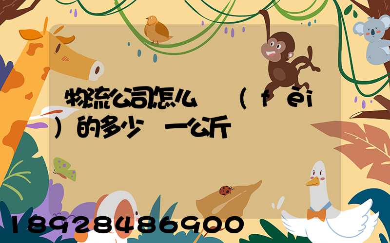 物流公司怎么計費(fèi)的多少錢一公斤