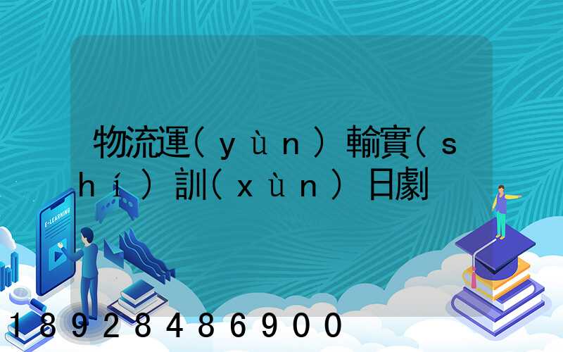 物流運(yùn)輸實(shí)訓(xùn)日劇