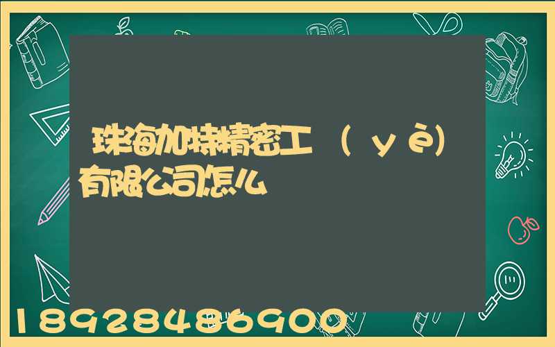 珠海加特精密工業(yè)有限公司怎么樣