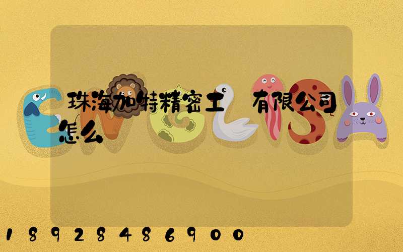 珠海加特精密工業有限公司怎么樣