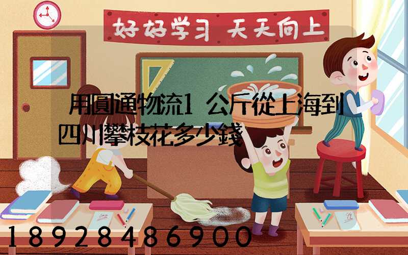 用圓通物流1公斤從上海到四川攀枝花多少錢