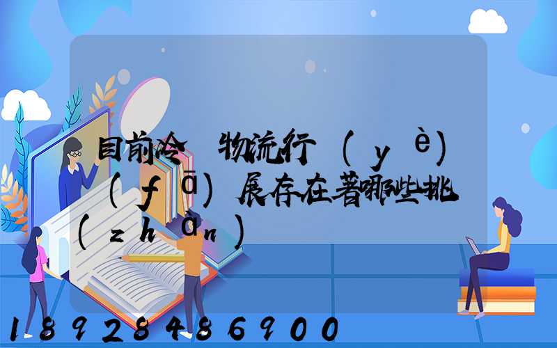 目前冷鏈物流行業(yè)發(fā)展存在著哪些挑戰(zhàn)