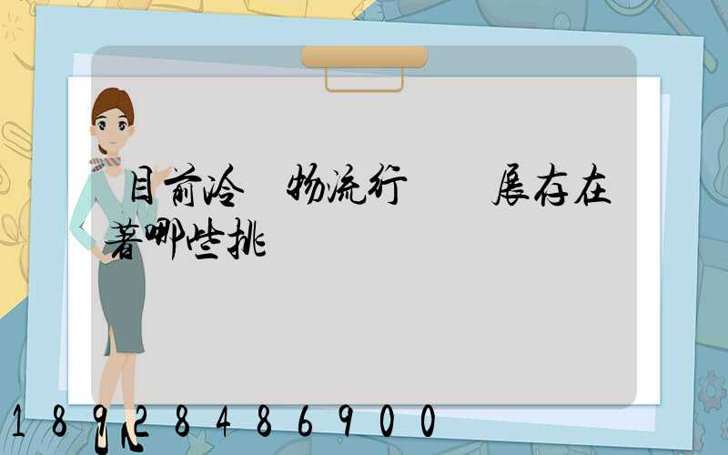 目前冷鏈物流行業發展存在著哪些挑戰