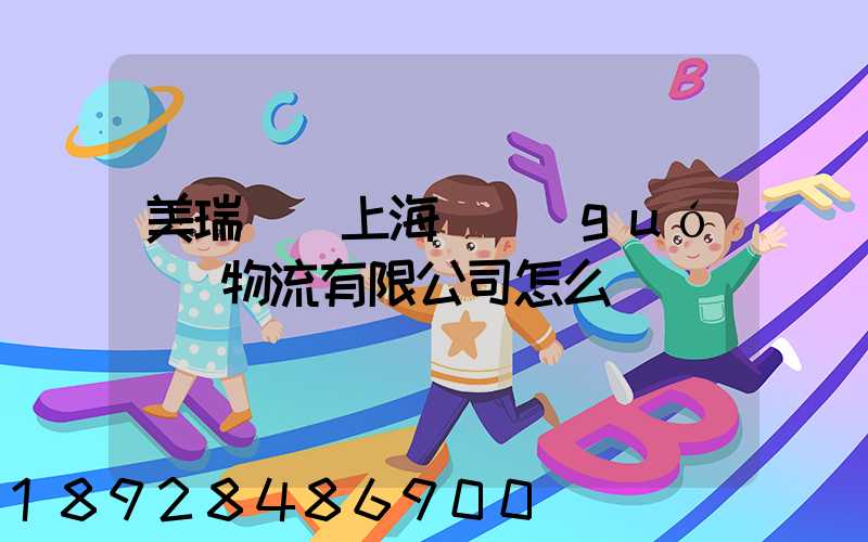 美瑞邇(上海)國(guó)際物流有限公司怎么樣