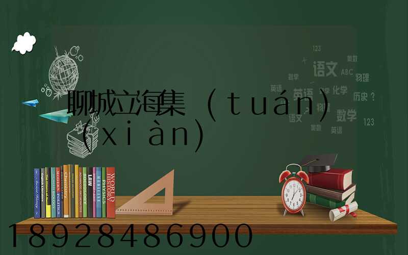 聊城立海集團(tuán)現(xiàn)狀