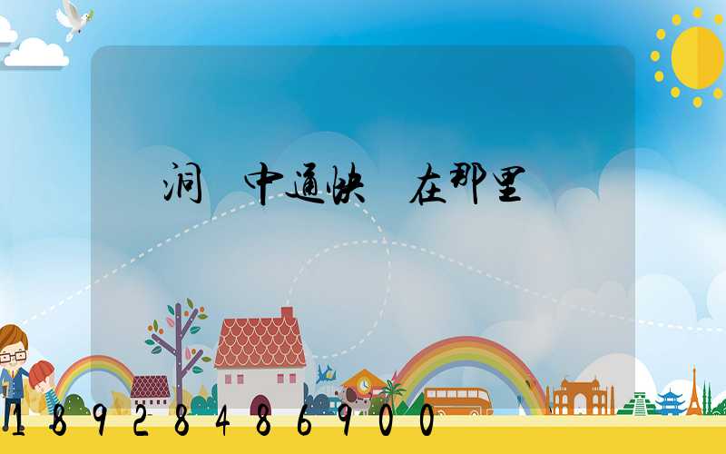 詩洞鎮中通快遞在那里