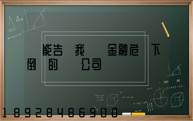 誰能告訴我幾個金融危機下倒閉的運輸公司