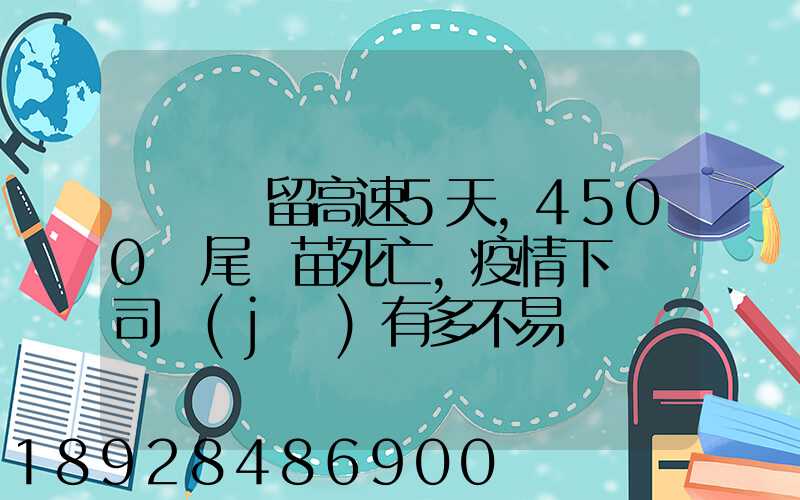 貨車滯留高速5天,4500萬尾魚苗死亡,疫情下貨車司機(jī)有多不易