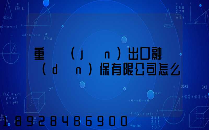 重慶進(jìn)出口融資擔(dān)保有限公司怎么樣