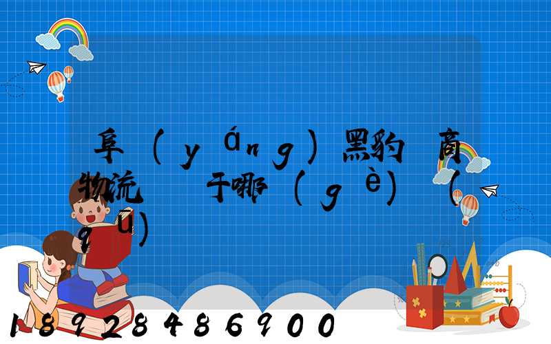 阜陽(yáng)黑豹電商物流園屬于哪個(gè)區(qū)