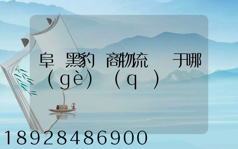 阜陽黑豹電商物流園屬于哪個(gè)區(qū)