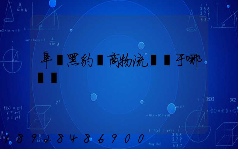 阜陽黑豹電商物流園屬于哪個區