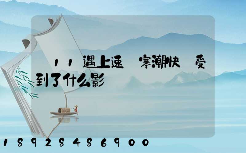 雙11遇上速凍寒潮快遞受到了什么影響