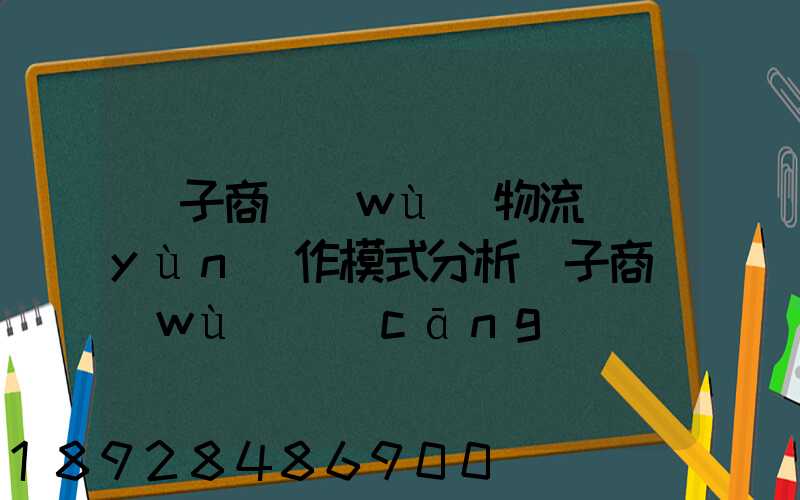 電子商務(wù)物流運(yùn)作模式分析電子商務(wù)倉(cāng)儲(chǔ)物流模式分析