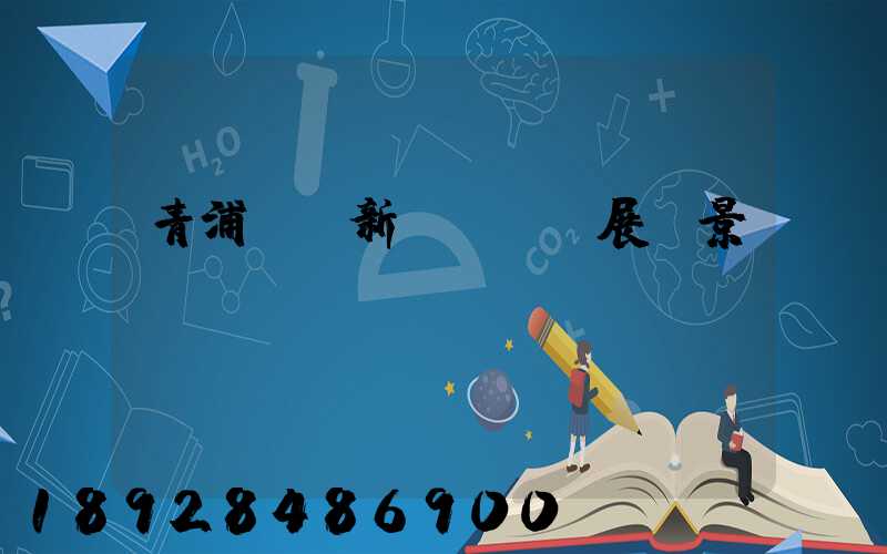 青浦區華新鎮規劃發展前景