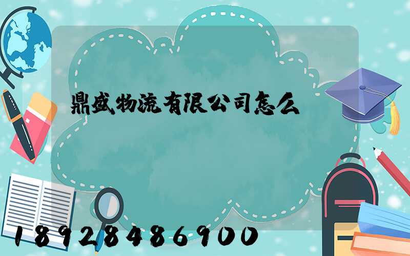 鼎盛物流有限公司怎么樣